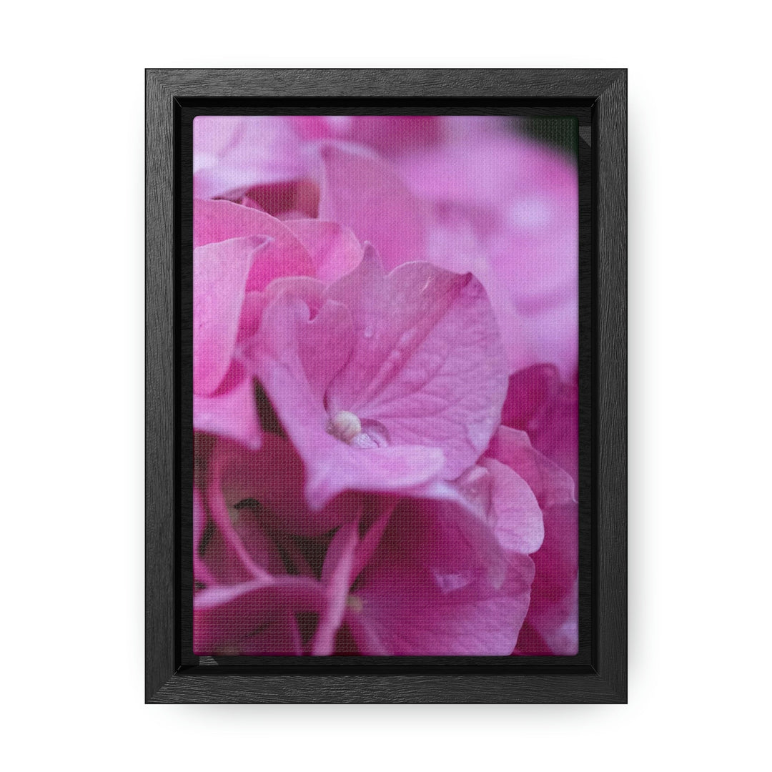 Pink Hydrangea Detail - Canvas with Frame - Visiting This World