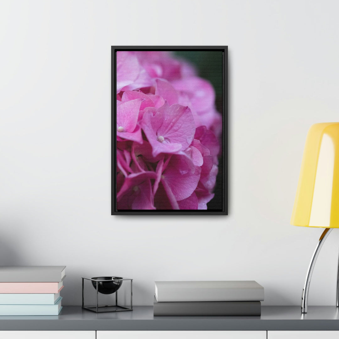 Pink Hydrangea Detail - Canvas with Frame - Visiting This World