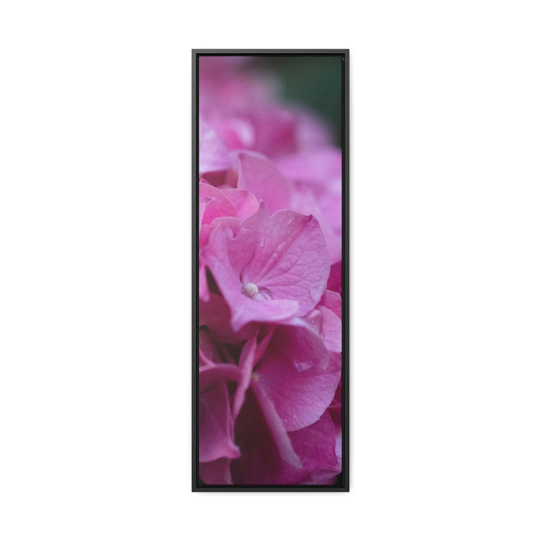 Pink Hydrangea Detail - Canvas with Frame - Visiting This World