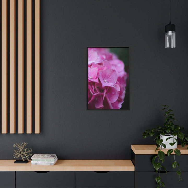 Pink Hydrangea Detail - Canvas with Frame - Visiting This World