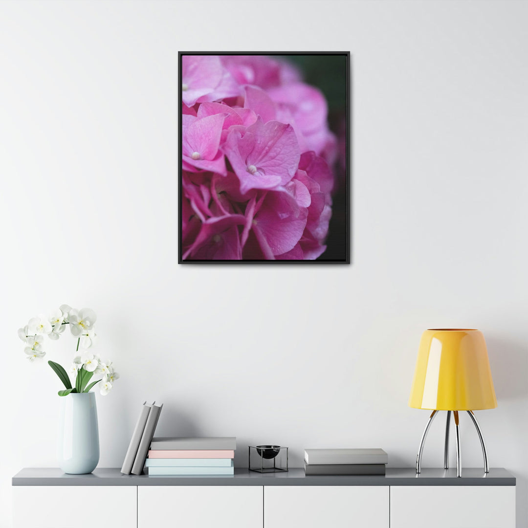 Pink Hydrangea Detail - Canvas with Frame - Visiting This World