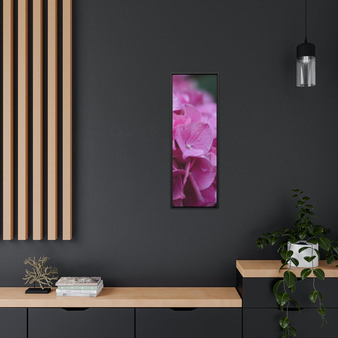 Pink Hydrangea Detail - Canvas with Frame - Visiting This World