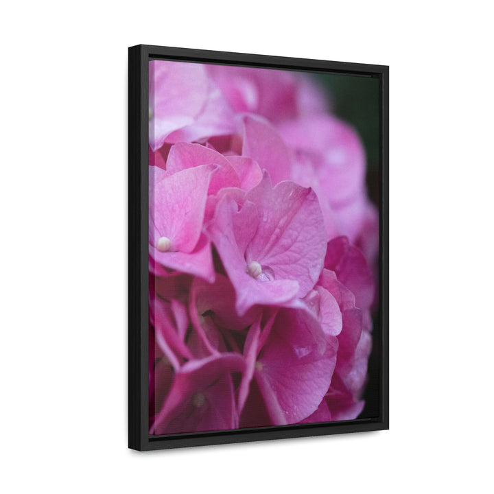 Pink Hydrangea Detail - Canvas with Frame - Visiting This World