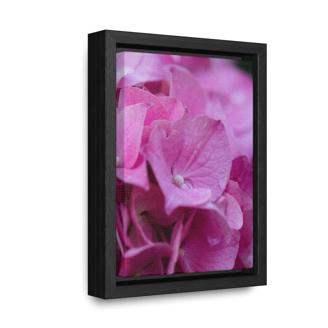 Pink Hydrangea Detail - Canvas with Frame - Visiting This World