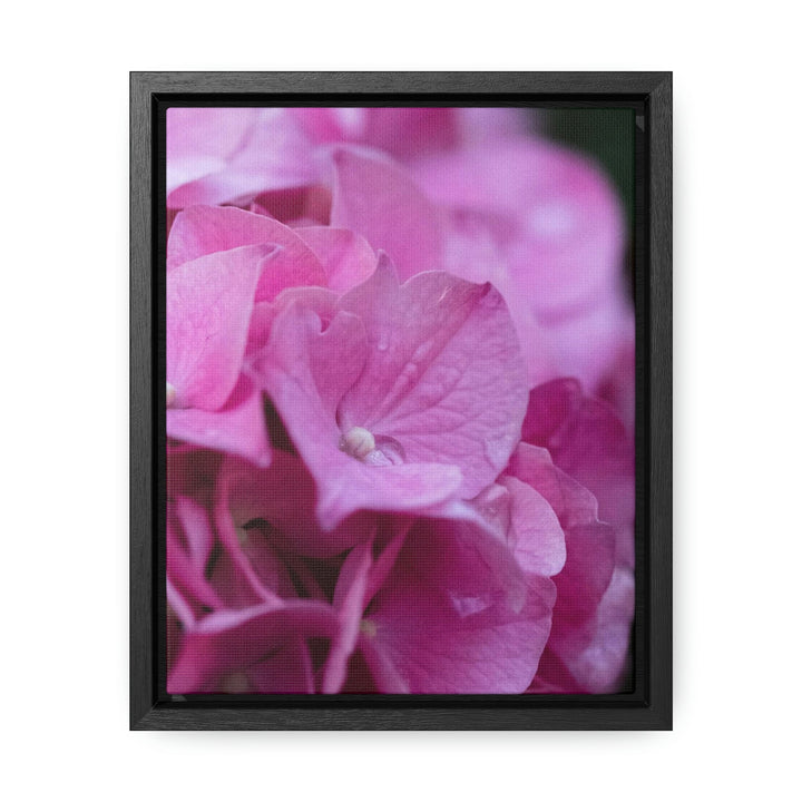 Pink Hydrangea Detail - Canvas with Frame - Visiting This World