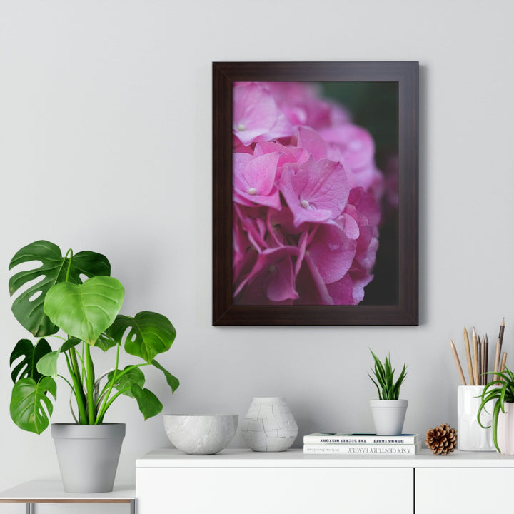 Pink Hydrangea Detail - Framed Print - Visiting This World