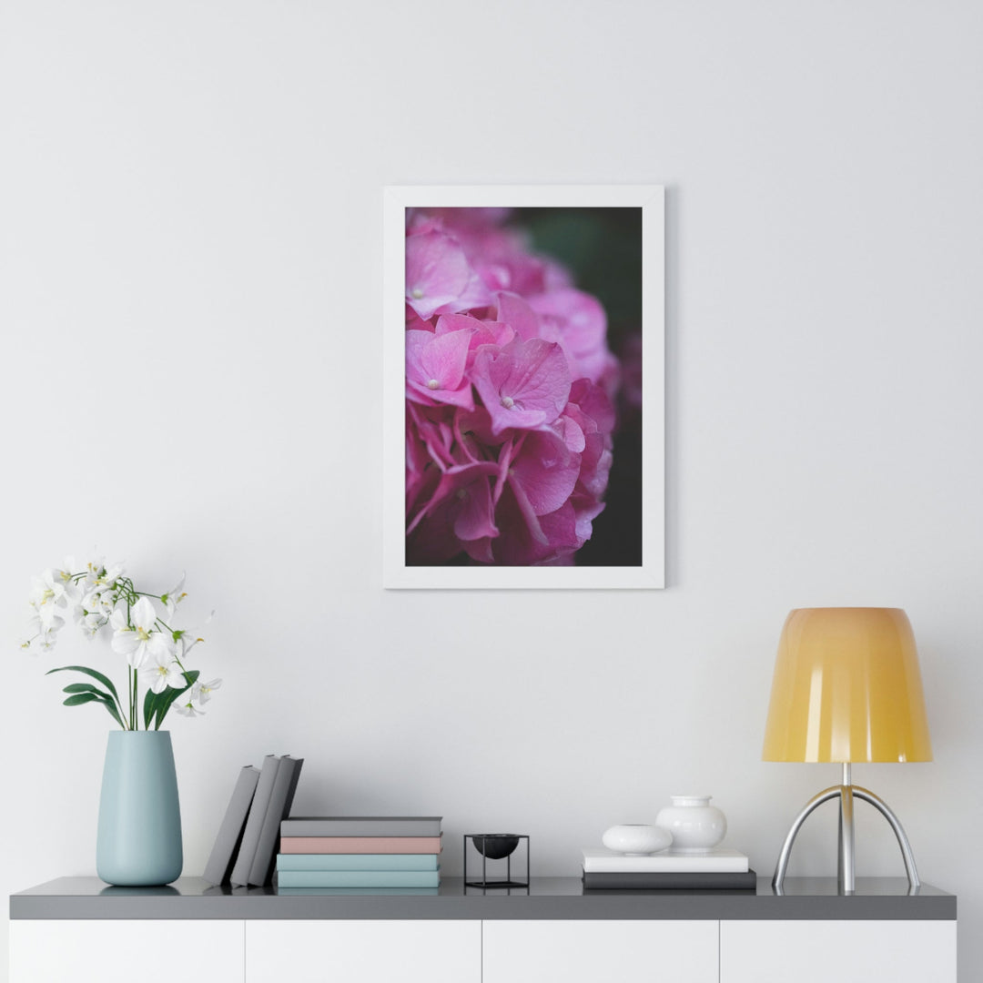 Pink Hydrangea Detail - Framed Print - Visiting This World