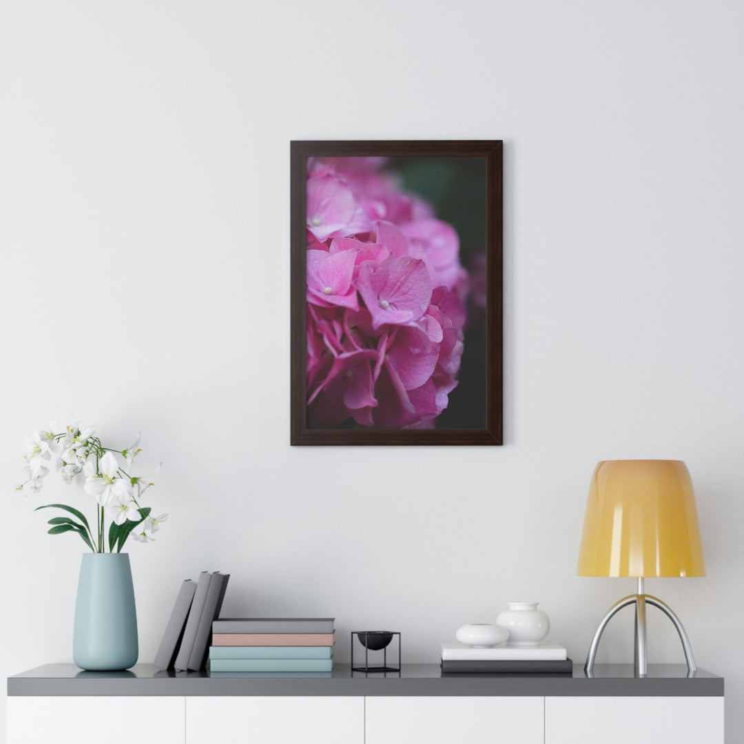 Pink Hydrangea Detail - Framed Print - Visiting This World