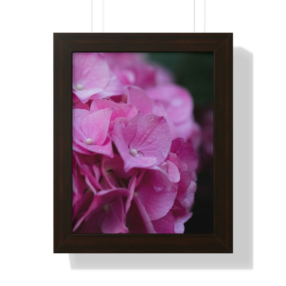 Pink Hydrangea Detail - Framed Print - Visiting This World