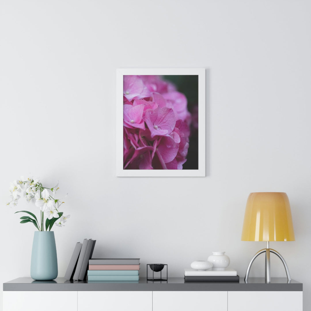 Pink Hydrangea Detail - Framed Print - Visiting This World