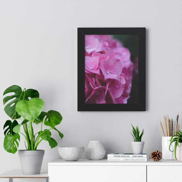 Pink Hydrangea Detail - Framed Print - Visiting This World