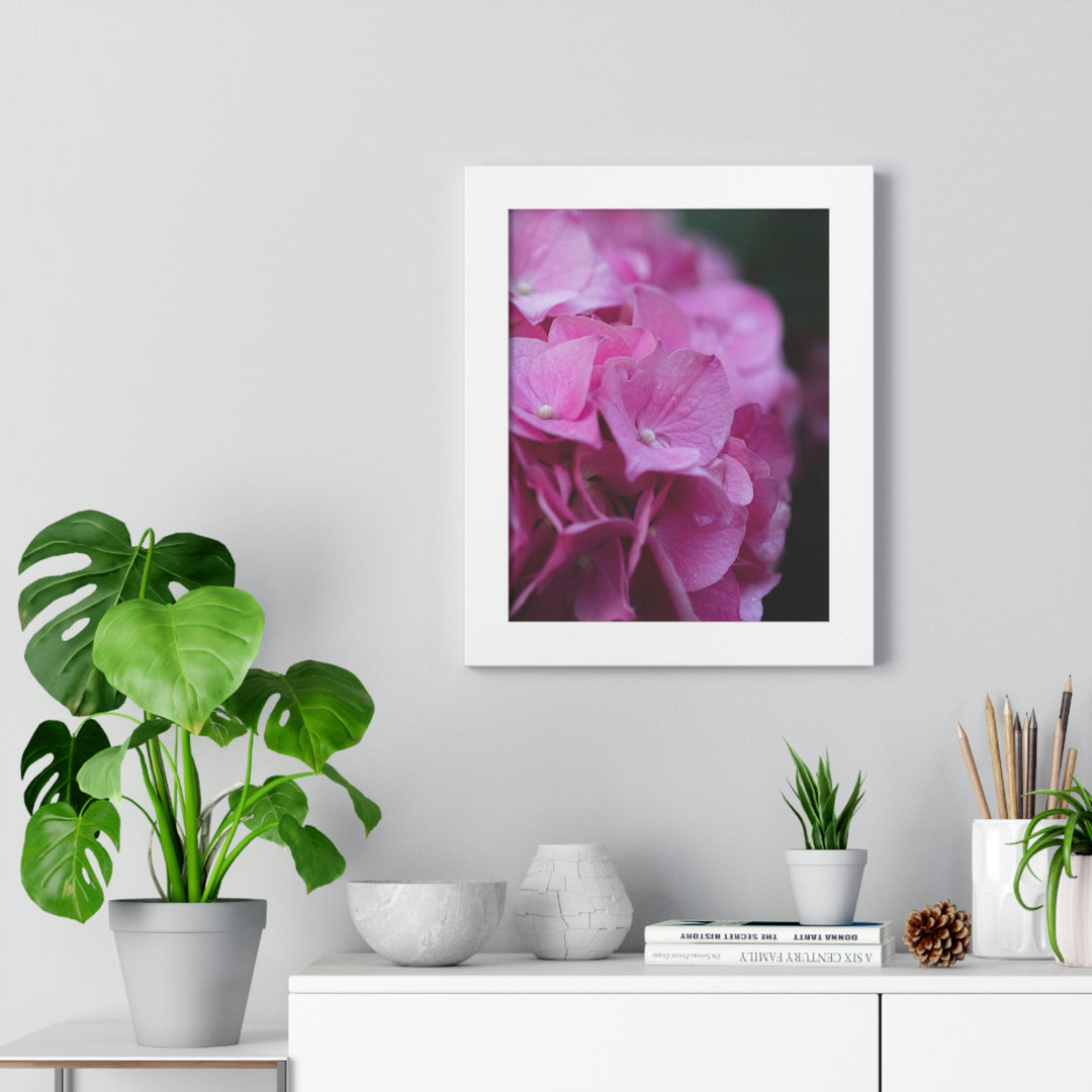 Pink Hydrangea Detail - Framed Print - Visiting This World