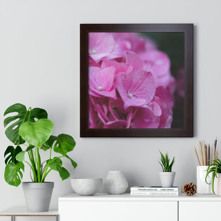 Pink Hydrangea Detail - Framed Print - Visiting This World