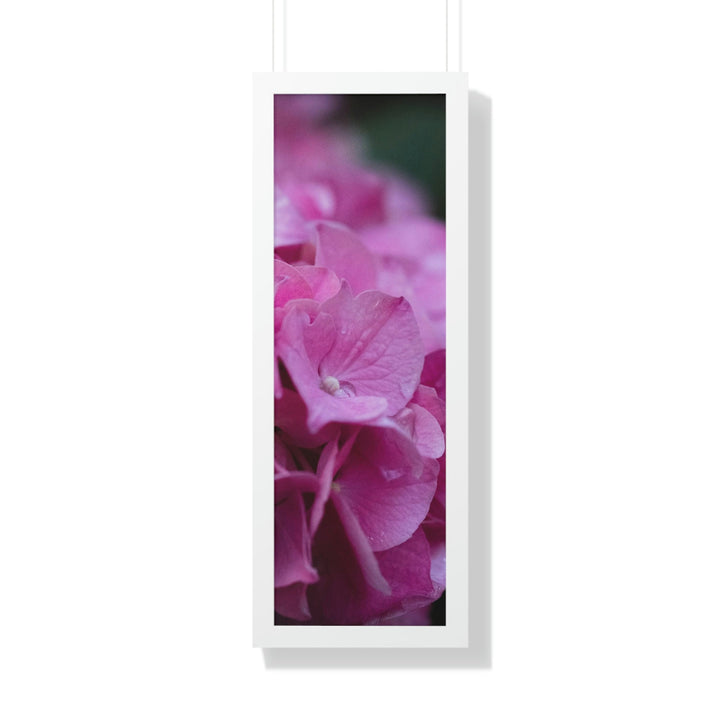 Pink Hydrangea Detail - Framed Print - Visiting This World