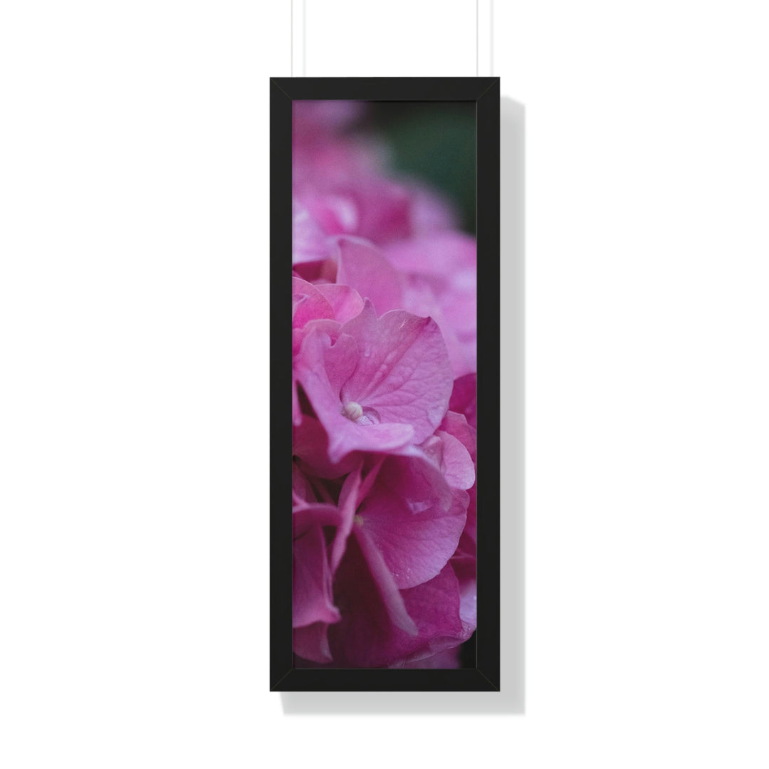 Pink Hydrangea Detail - Framed Print - Visiting This World