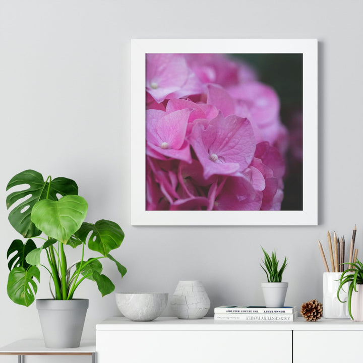 Pink Hydrangea Detail - Framed Print - Visiting This World