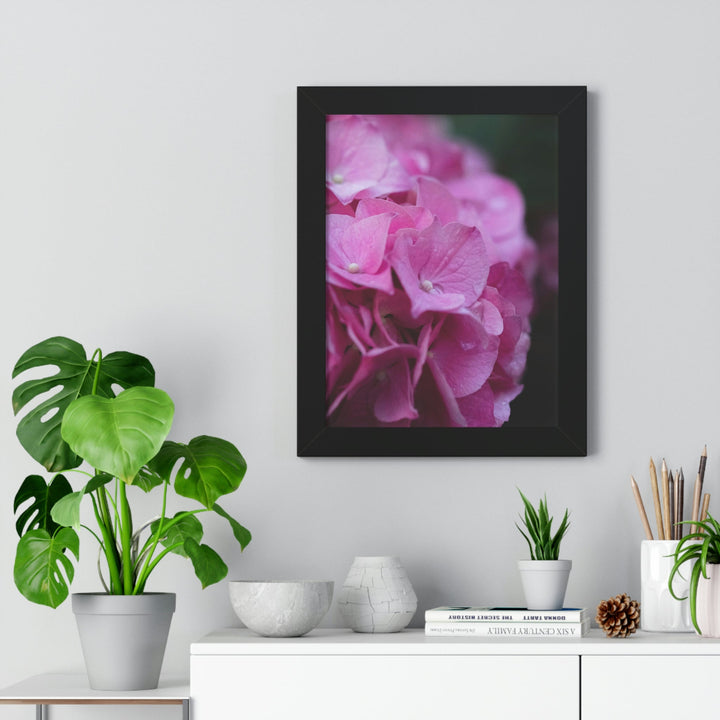 Pink Hydrangea Detail - Framed Print - Visiting This World