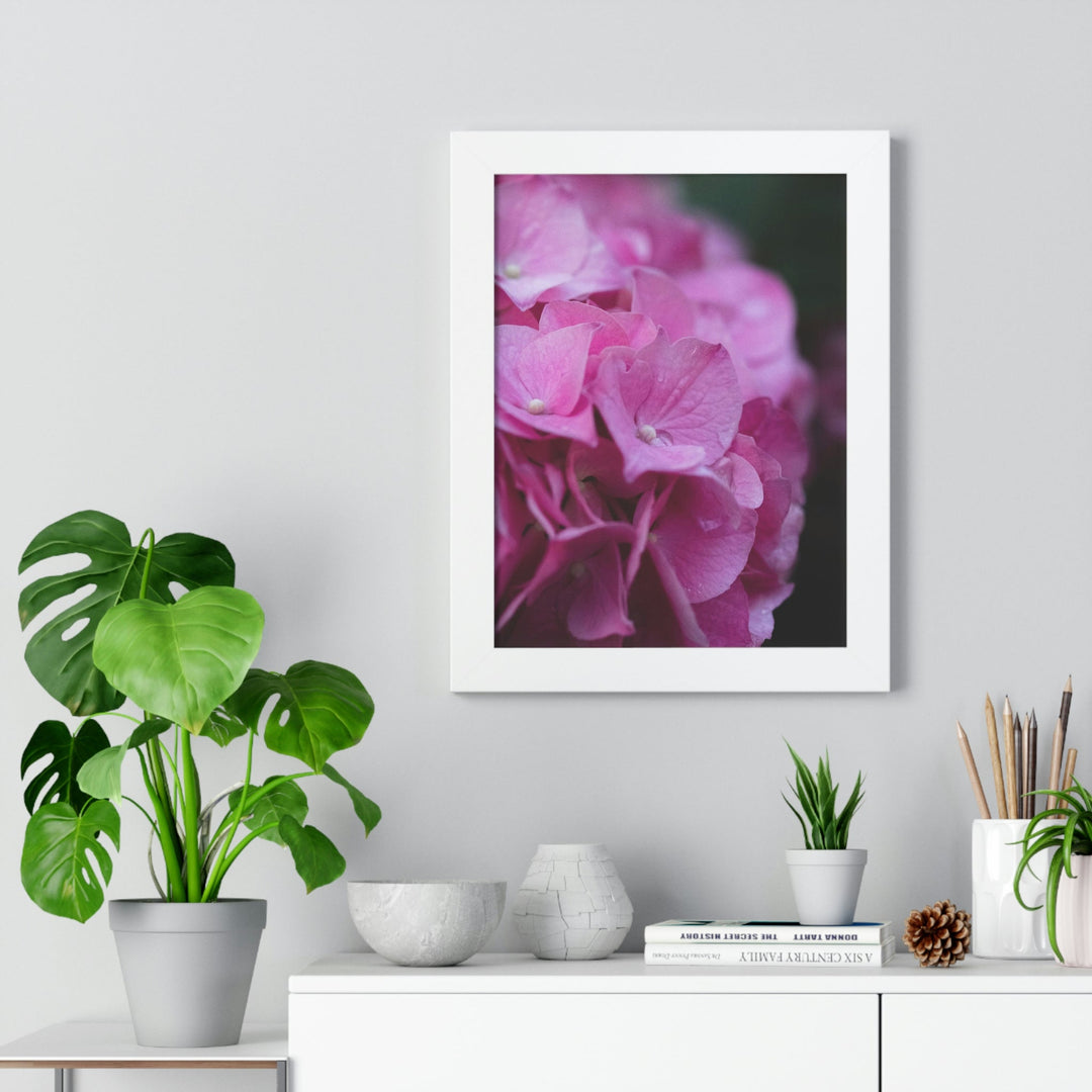 Pink Hydrangea Detail - Framed Print - Visiting This World