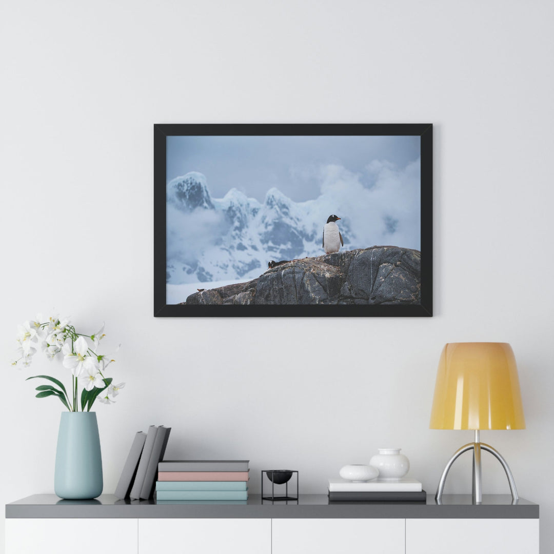 Poised Penguin - Framed Print - Visiting This World