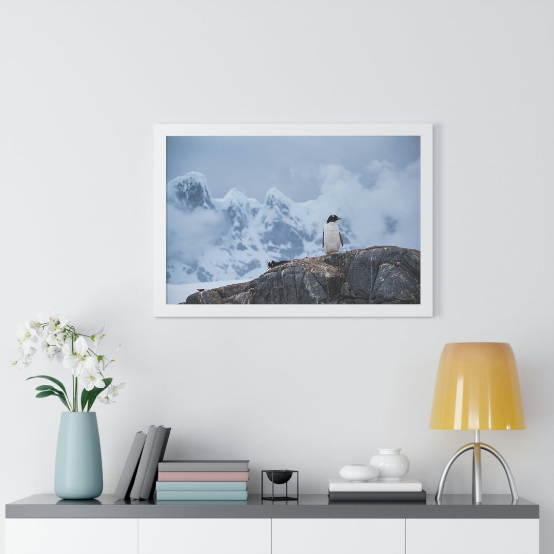 Poised Penguin - Framed Print - Visiting This World