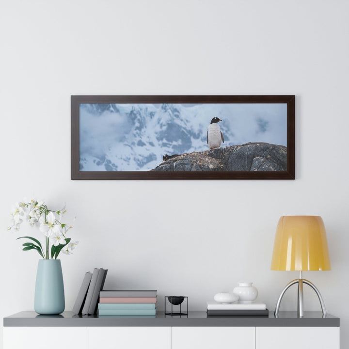 Poised Penguin - Framed Print - Visiting This World