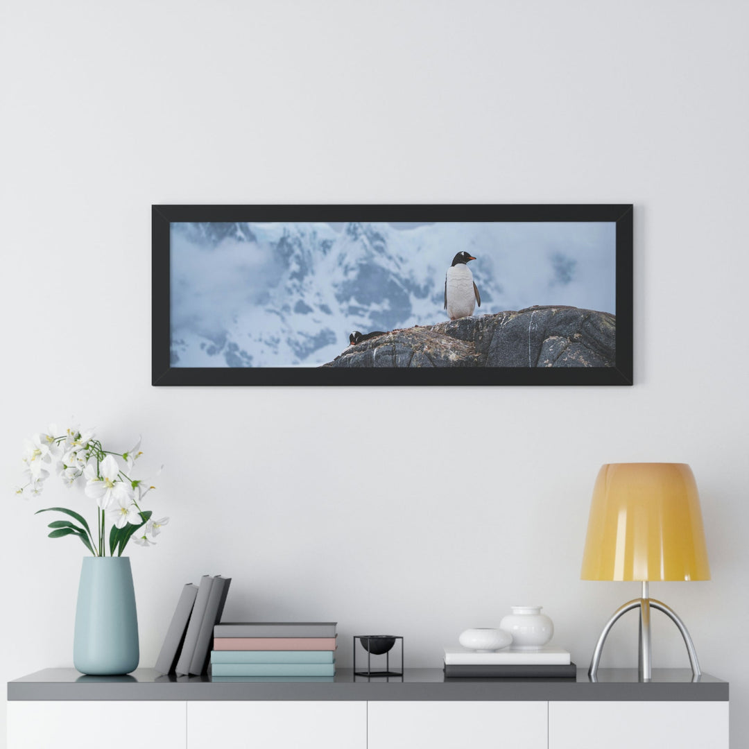 Poised Penguin - Framed Print - Visiting This World