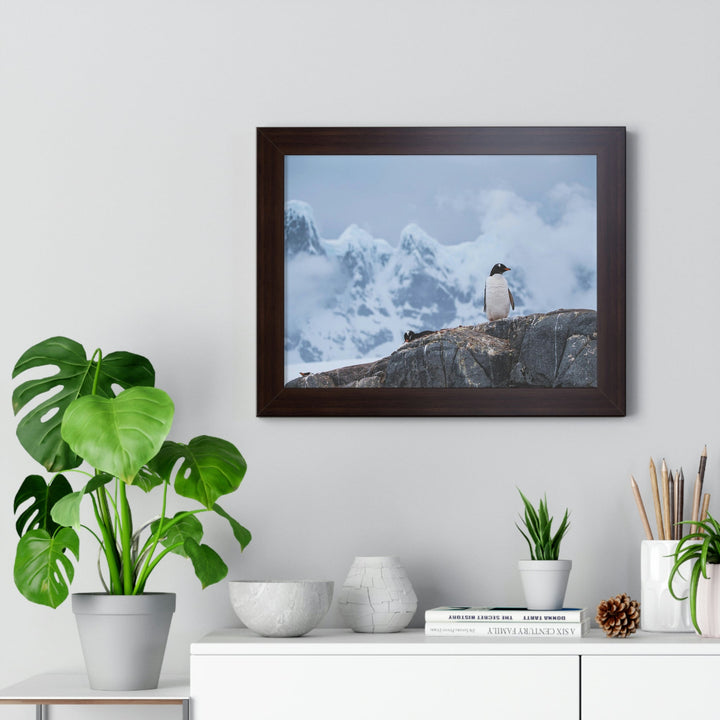 Poised Penguin - Framed Print - Visiting This World