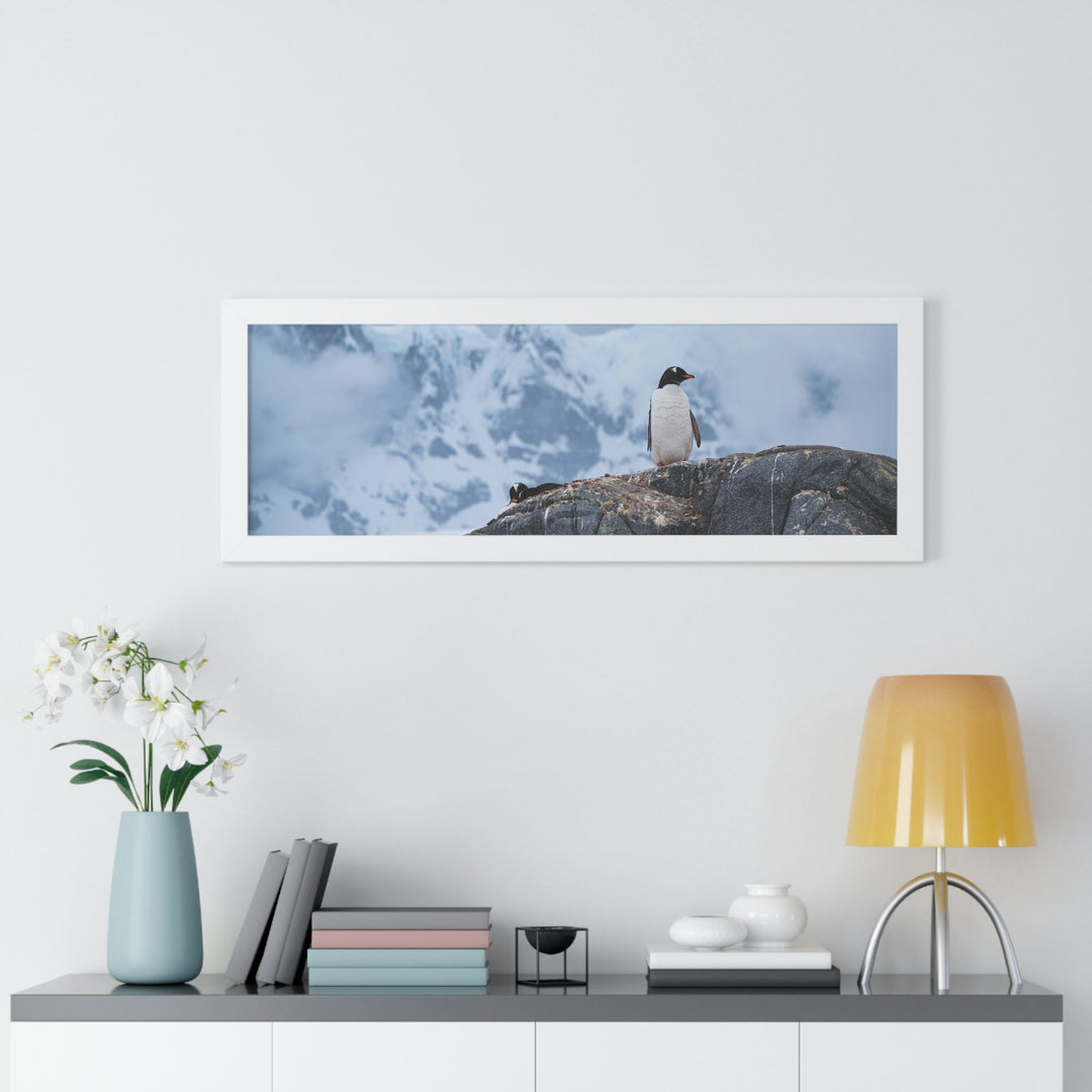 Poised Penguin - Framed Print - Visiting This World