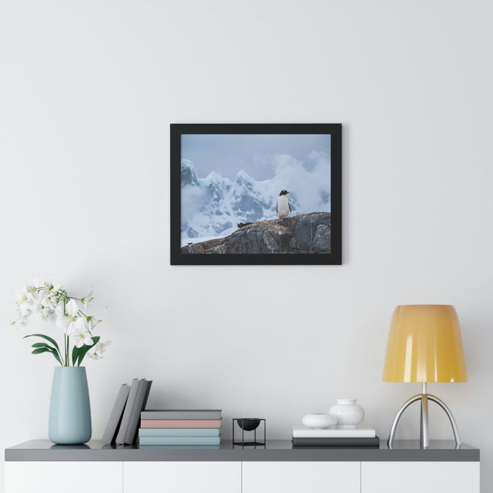 Poised Penguin - Framed Print - Visiting This World