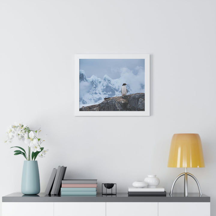 Poised Penguin - Framed Print - Visiting This World