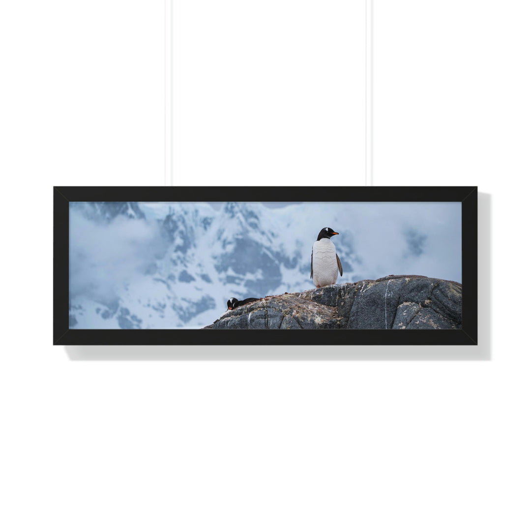 Poised Penguin - Framed Print - Visiting This World