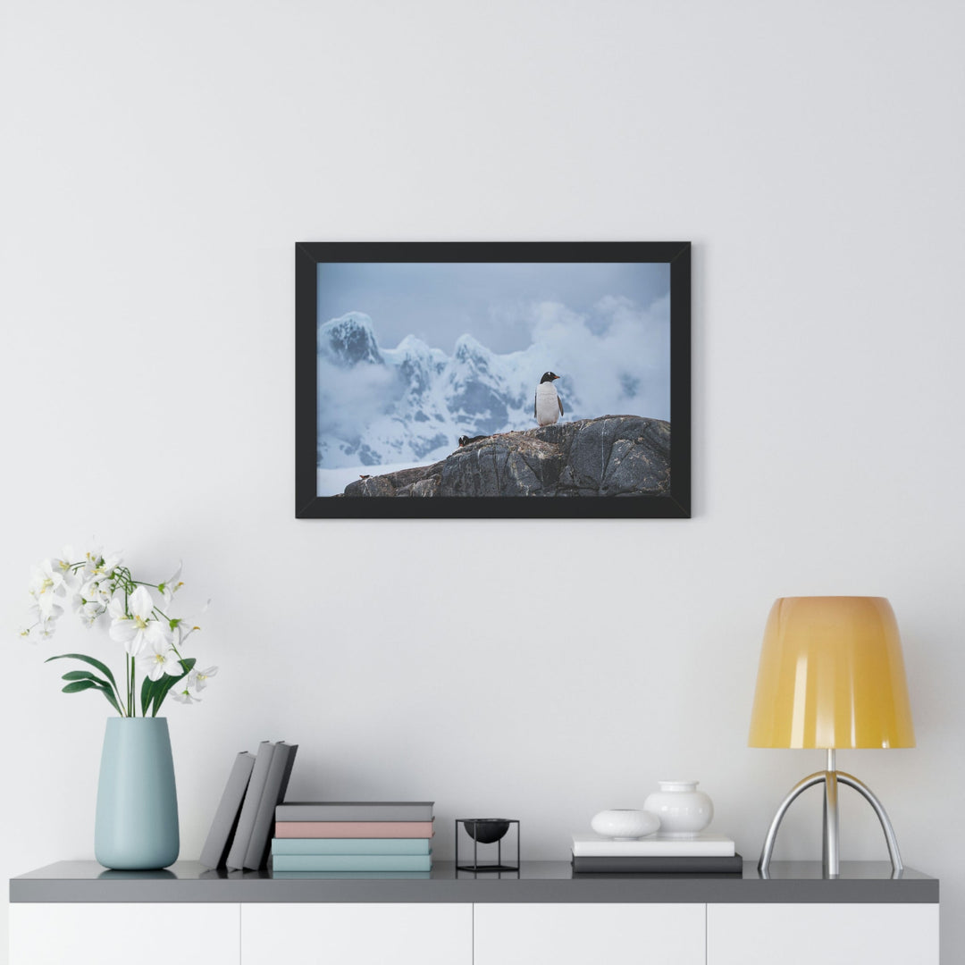 Poised Penguin - Framed Print - Visiting This World