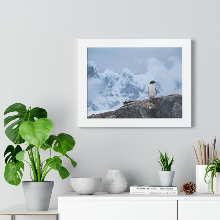 Poised Penguin - Framed Print - Visiting This World