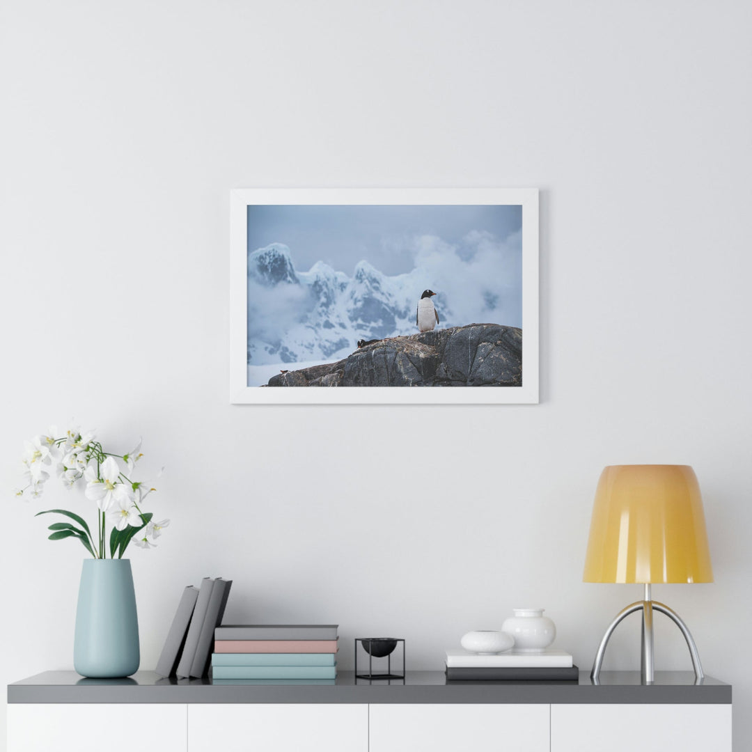 Poised Penguin - Framed Print - Visiting This World