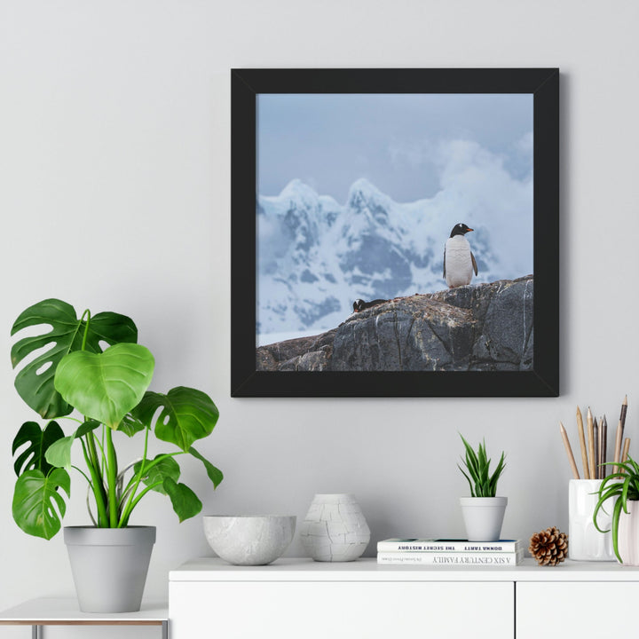 Poised Penguin - Framed Print - Visiting This World