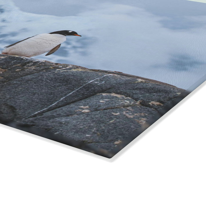 Poised Penguin - Glass Cutting Board - Visiting This World