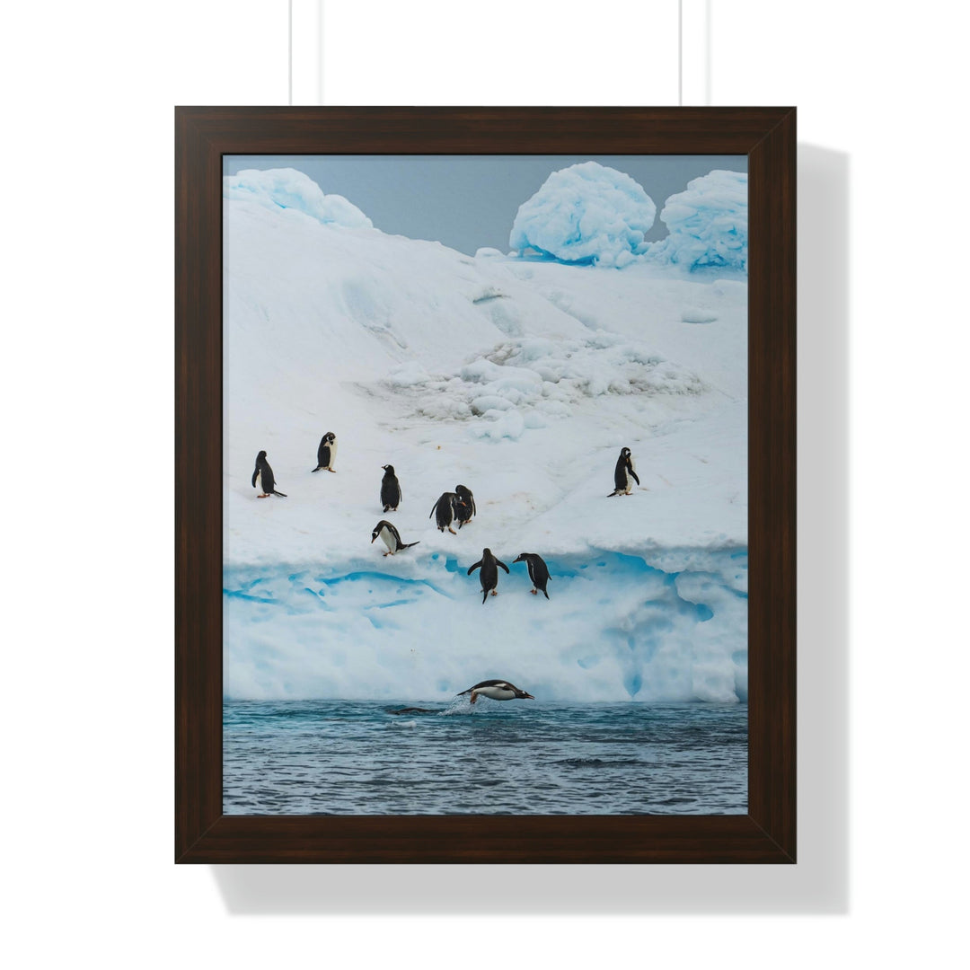 Porpoising Penguin - Framed Print - Visiting This World