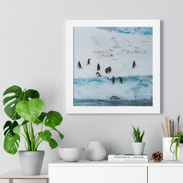 Porpoising Penguin - Framed Print - Visiting This World