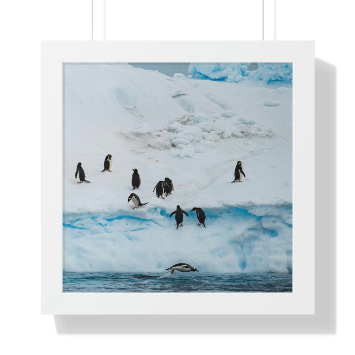 Porpoising Penguin - Framed Print - Visiting This World