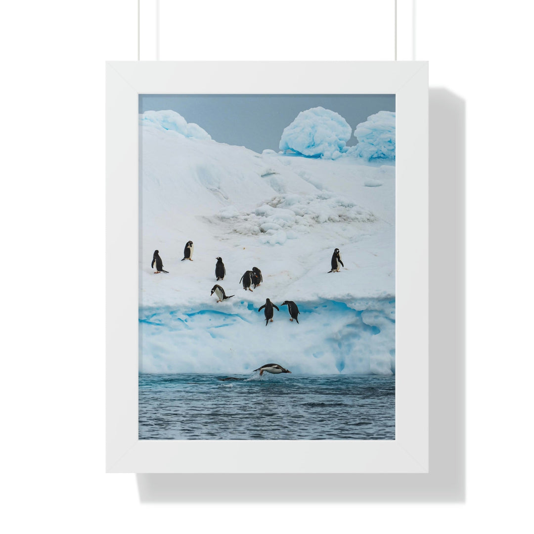 Porpoising Penguin - Framed Print - Visiting This World