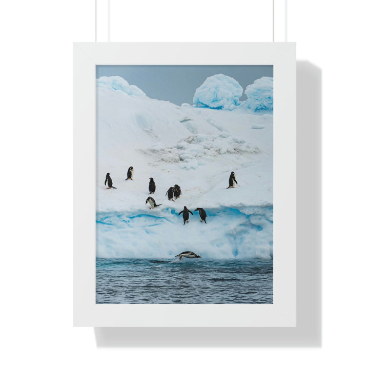 Porpoising Penguin - Framed Print - Visiting This World