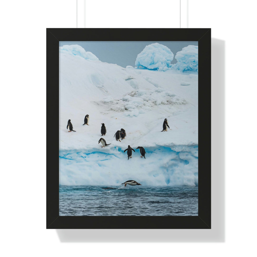 Porpoising Penguin - Framed Print - Visiting This World