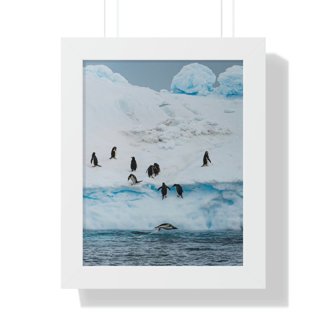 Porpoising Penguin - Framed Print - Visiting This World