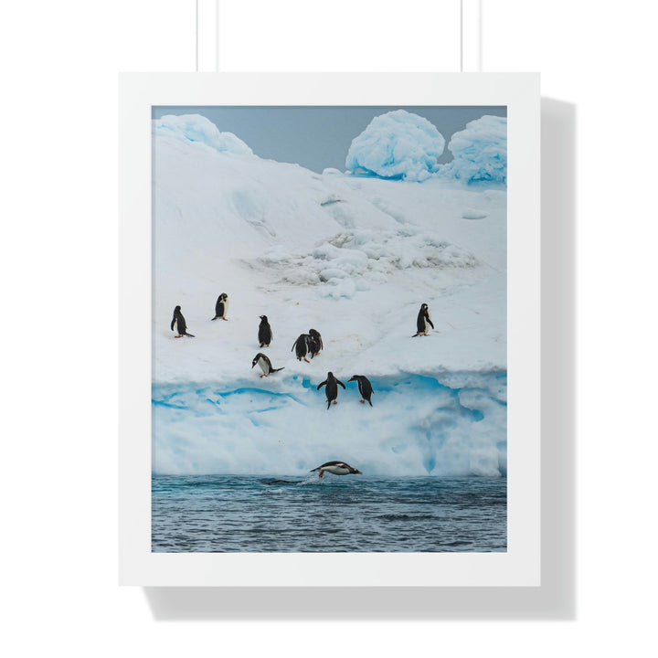 Porpoising Penguin - Framed Print - Visiting This World