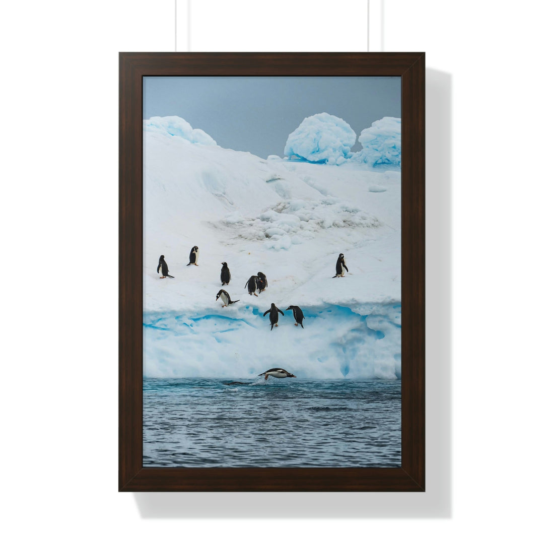 Porpoising Penguin - Framed Print - Visiting This World