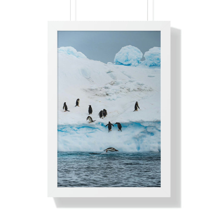 Porpoising Penguin - Framed Print - Visiting This World