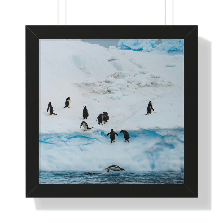 Porpoising Penguin - Framed Print - Visiting This World