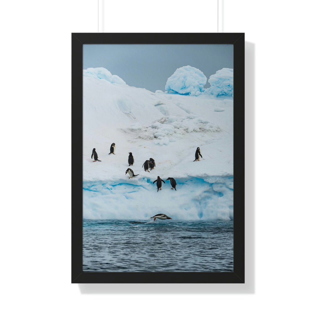 Porpoising Penguin - Framed Print - Visiting This World