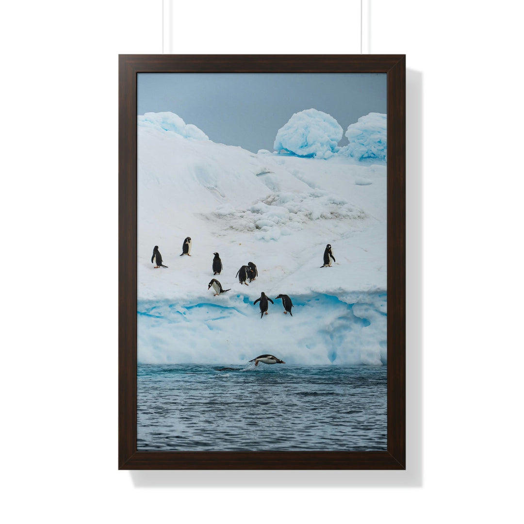 Porpoising Penguin - Framed Print - Visiting This World