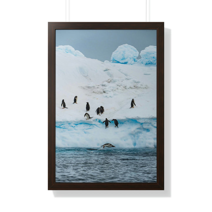 Porpoising Penguin - Framed Print - Visiting This World